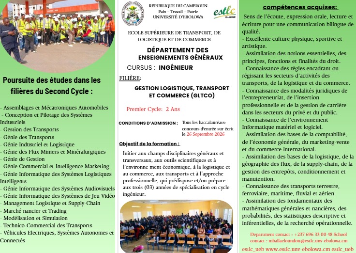 Flyer 2