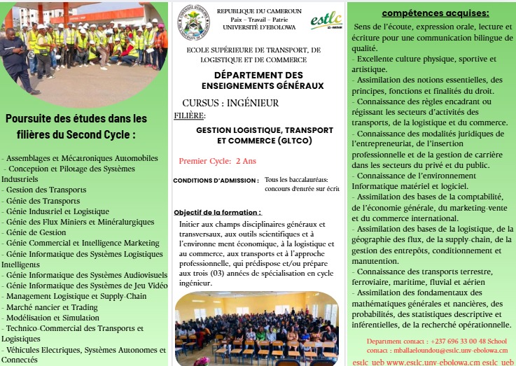 Flyer 4