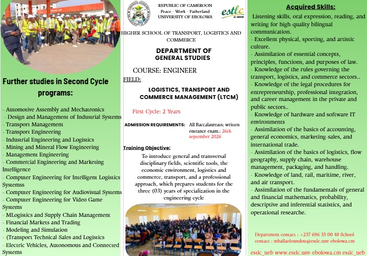 Flyer 5