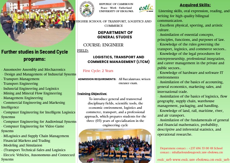 Flyer 8